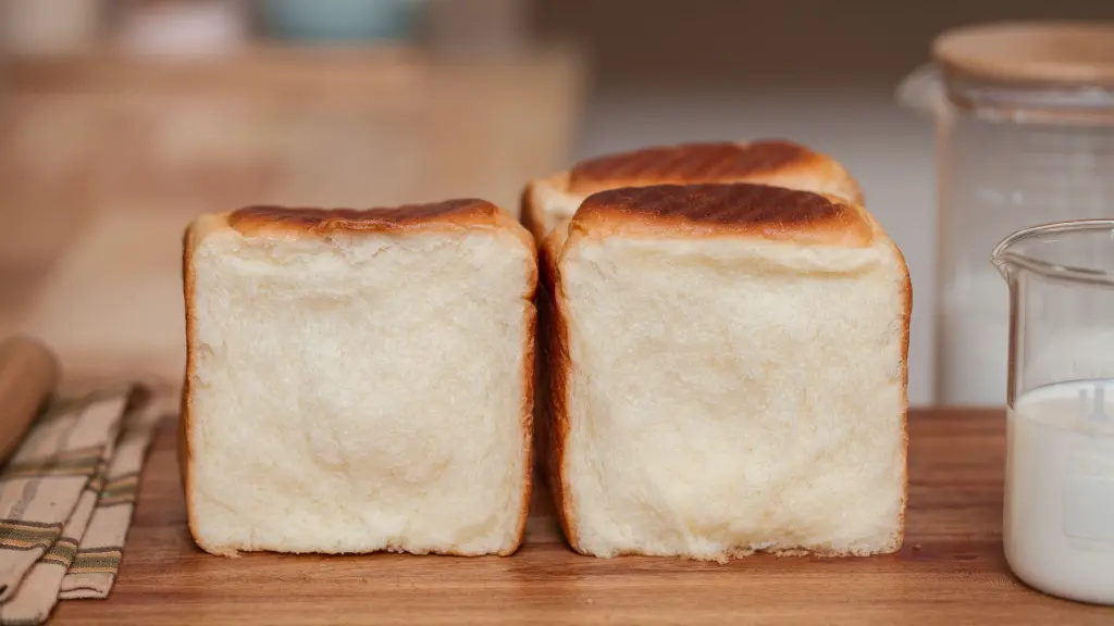 _MG_8446-2 copy.webp