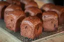 _MG_9521.webp